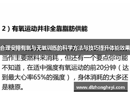 合理安排有氧与无氧训练的科学方法与技巧提升体能效果