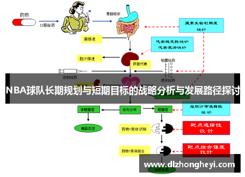 NBA球队长期规划与短期目标的战略分析与发展路径探讨