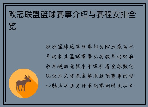 欧冠联盟篮球赛事介绍与赛程安排全览